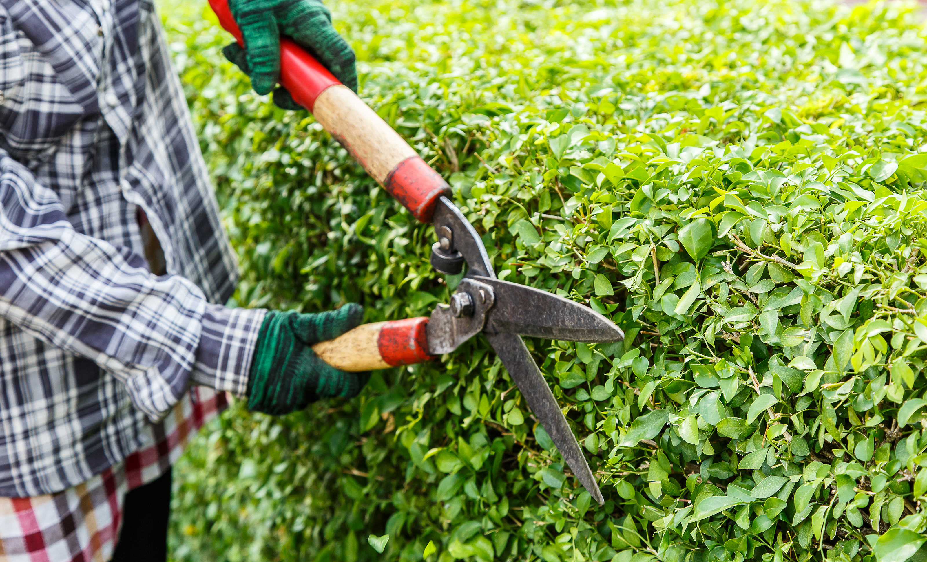 Landscaping – Prime Janitorial & Maintenance Chicago